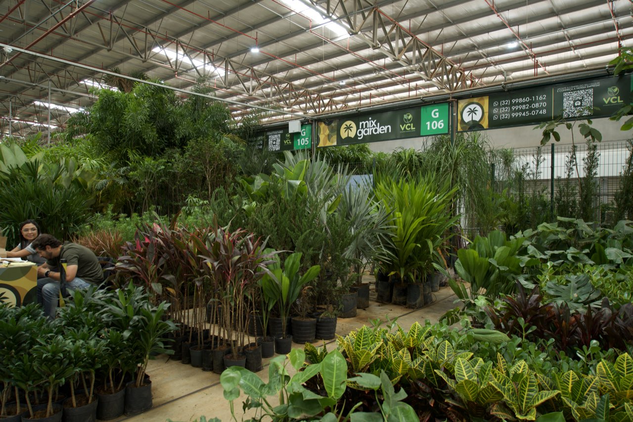 Estoque de palmeiras e ornamentais no stand da Mix Garden no Ceaflor